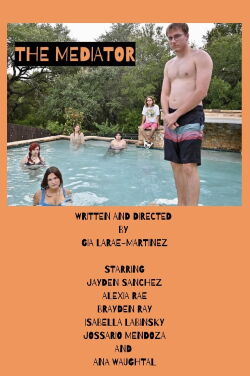 The Mediator (2024)