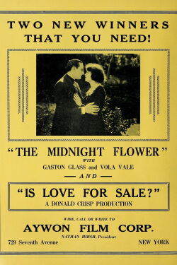 The Midnight Flower (1923)