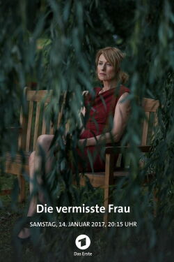 The Missing Woman (2016)