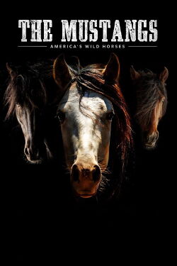 The Mustangs: America's Wild Horses (2021)