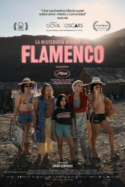 The Mysterious Gaze of the Flamingo (2025)