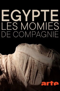 The Mysterious Mummified Dogs of Ancient Egypt (2020)