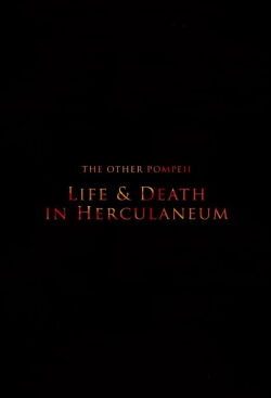 The Other Pompeii: Life & Death in Herculaneum (2013)