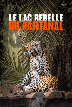 The Pantanal's Rebel Lake (2019)