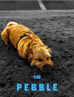 The Pebble (2022)