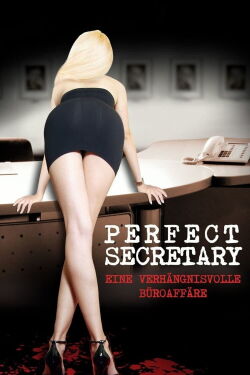 The Perfect Assistant (2008)