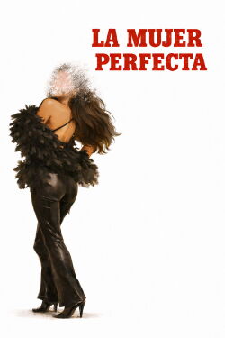 The Perfect Woman (1979)