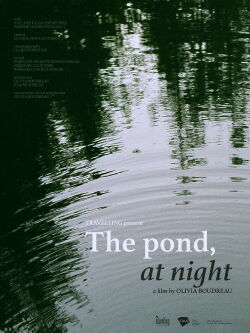 The Pond, at Night (2020)