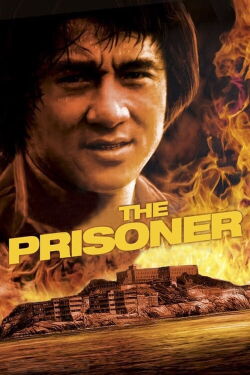 The Prisoner (1990)