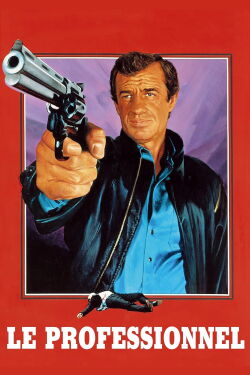 The Professional (1981)