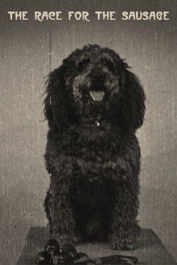 The Race for the Sausage (1907)