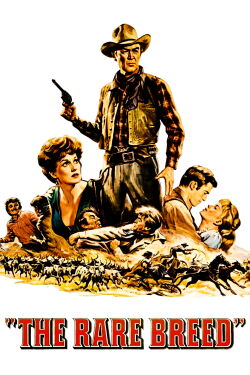 The Rare Breed (1966)