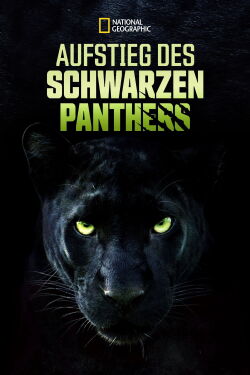 The Real Black Panther (2020)