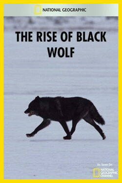 The Rise of Black Wolf (2010)