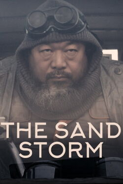 The Sand Storm (2014)