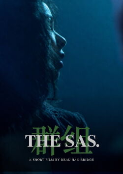 The SAS (2026)