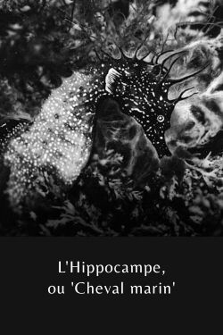 The Sea Horse (1935)