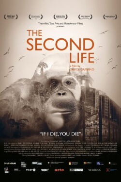 The Second Life (2022)