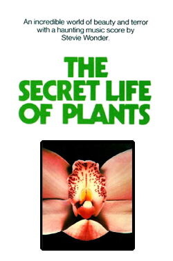 The Secret Life of Plants (1978)