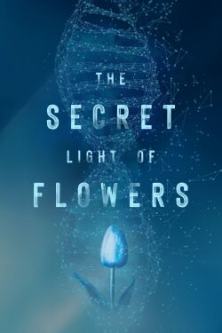 The Secret Light of Flowers (2023)