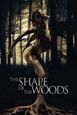 The Shape of the Woods (2021)