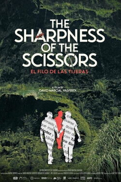 The Sharpness of the Scissors (2023)