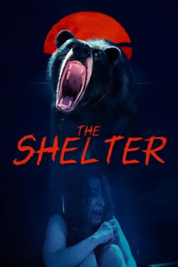 The Shelter (2026)