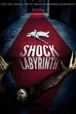 The shock labyrinth (2009)