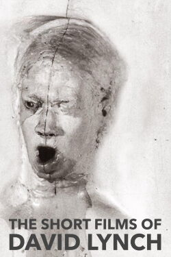 The Short Films of David Lynch (2002)
