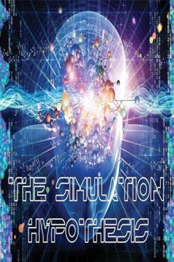 The Simulation Hypothesis (2015)