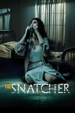 The Snatcher (2024)