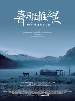 The Soul of Himalaya (2017)