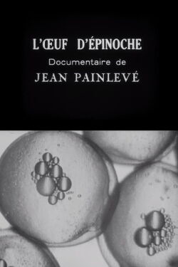 The Stickleback's Eggs (1925)