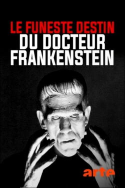 The Strange Life of Dr. Frankenstein (2018)