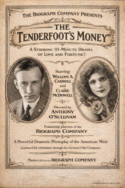 The Tenderfoot's Money (1913)