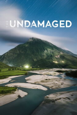 The Undamaged (2018)