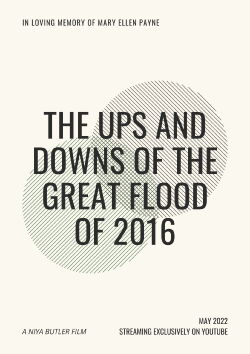 The Ups and Downs of the Great Flood of 2016 (2022)