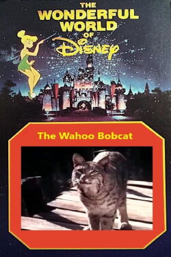 The Wahoo Bobcat (1963)