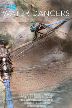 The Water Dancers (2018)