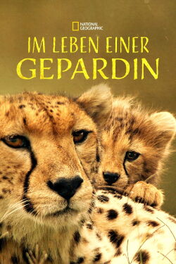 The Way of the Cheetah (2022)