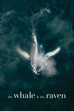 The Whale and the Raven (2019)