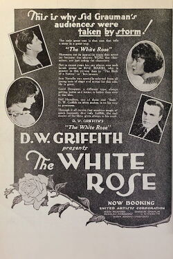The White Rose (1923)