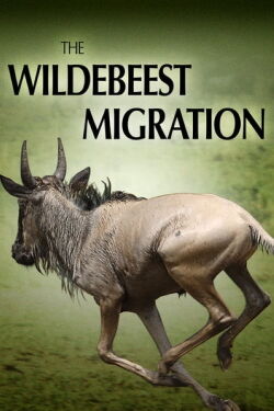 The Wildebeest Migration: Nature's Greatest Journey (2012)