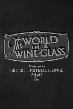 The World in a Wine-Glass (1931)