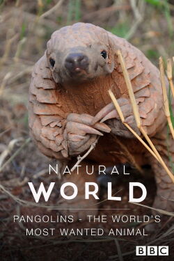 The World's Most Wanted Animal (2018)