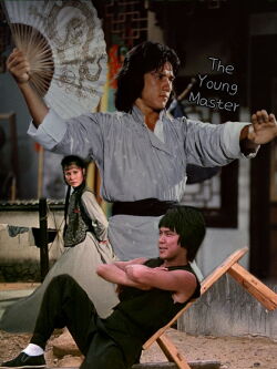 The Young Master (1980)