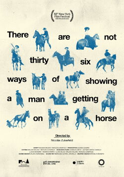 There Are Not Thirty-Six Ways of Showing a Man Getting on a Horse (2020)