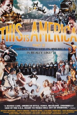 This Is America Part 2 (1980)