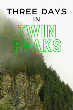Three Days in Twin Peaks (2020)