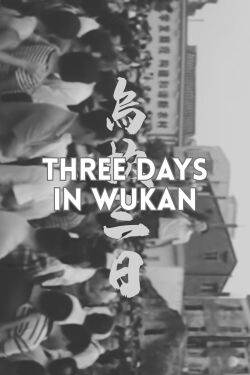 Three Days in Wukan (2012)